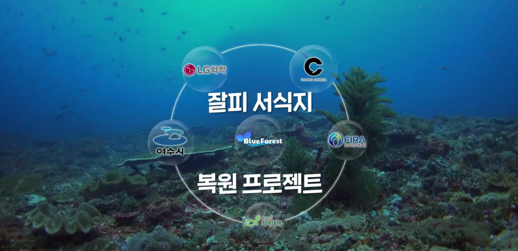 ESG 경영으로 글로벌 잘파세대와 소통까지 성공한 LG화학