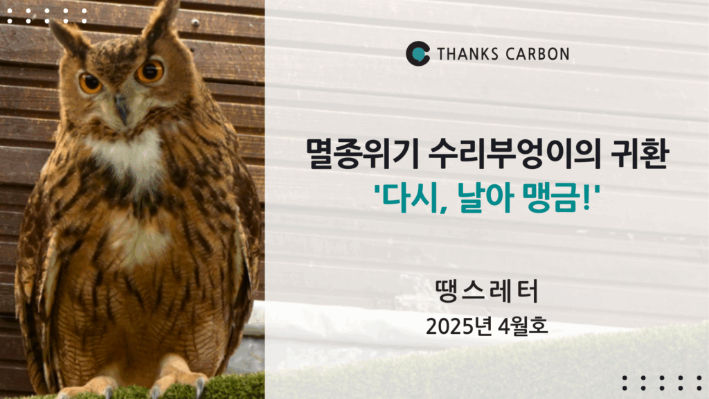땡스레터 #33. 멸종위기 수리부엉이의 귀환 ‘다시, 날아 맹금!’
