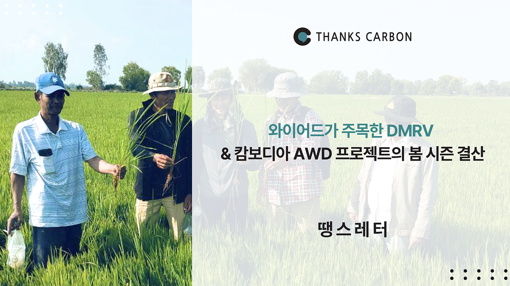 땡스레터 #45. 와이어드가 주목한 dMRV 그리고 캄보디아 AWD 프로젝트의 봄 시즌 결산